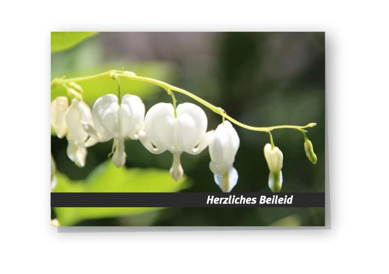 Beileidskarte "Tränendes Herz"