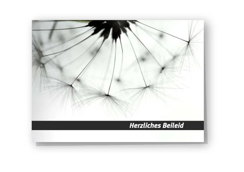 Beileidskarte "Pusteblume" schwarzweiß