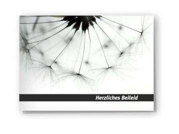 Beileidskarte "Pusteblume" schwarzweiß