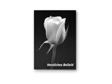 Beileidskarte "weiße Rose"