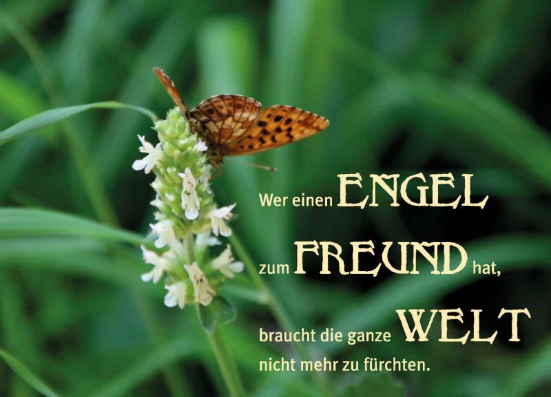ENGEL - immerwährend