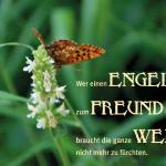ENGEL - immerwährend