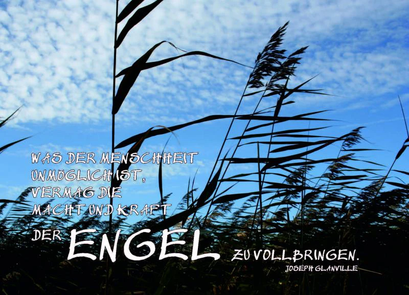 ENGEL - immerwährend