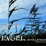 ENGEL - immerwährend