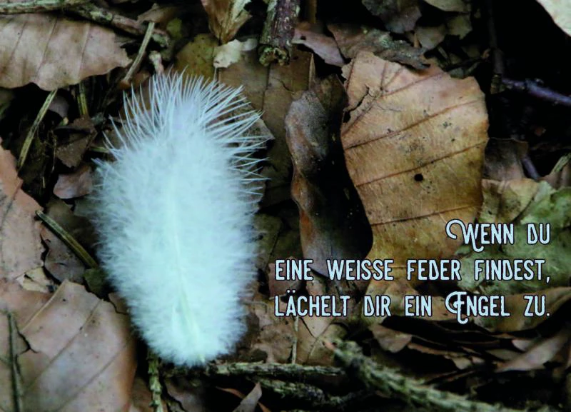 ENGEL - immerwährend