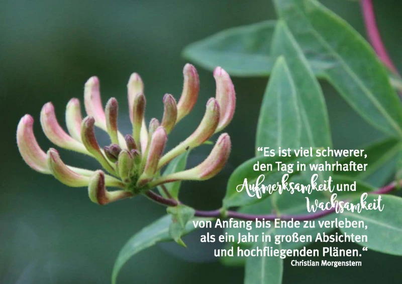Momente für die Seele - immerwährend