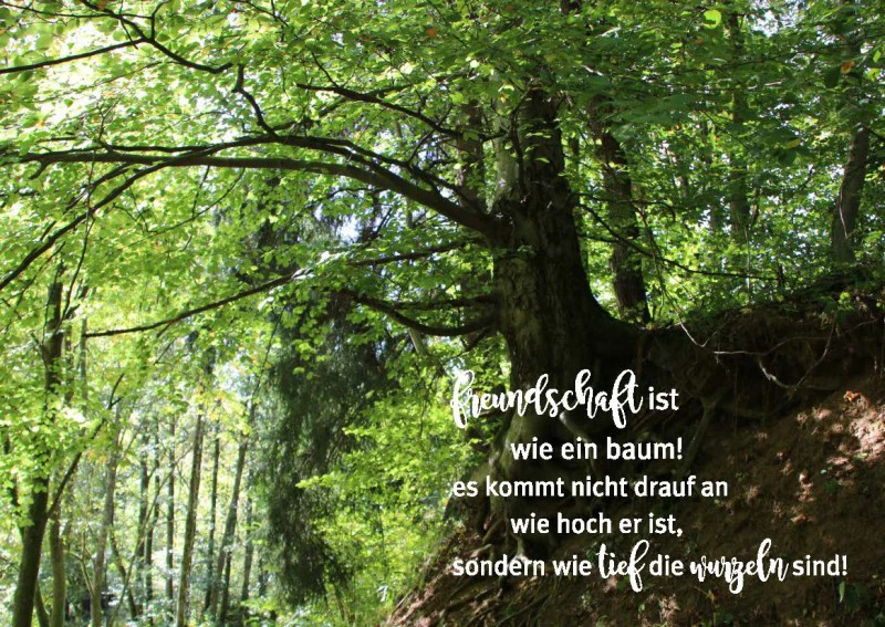 Momente für die Seele - immerwährend