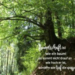 Momente für die Seele - immerwährend