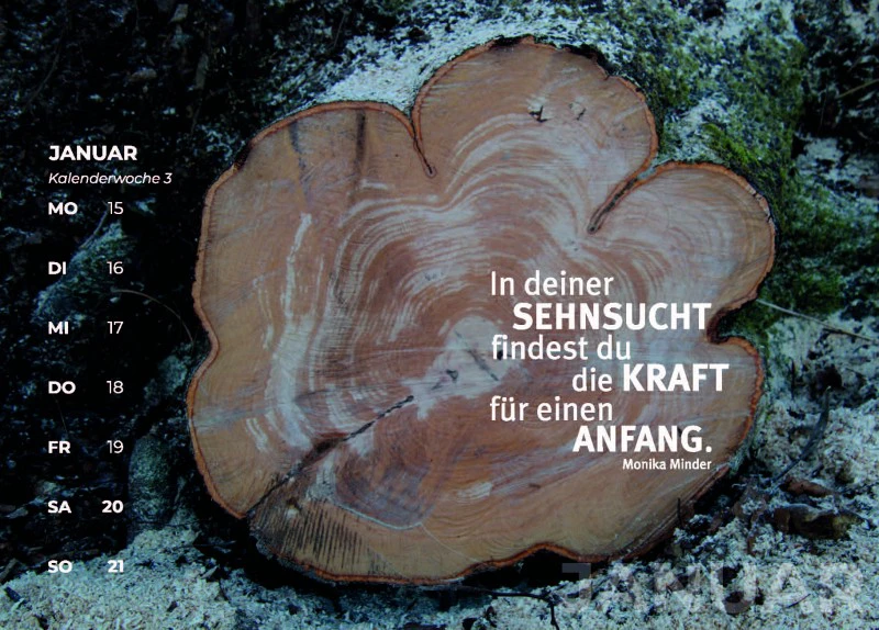 Westerwald 2024 für Herz und Seele