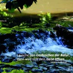 Westerwald 2024 für Herz und Seele