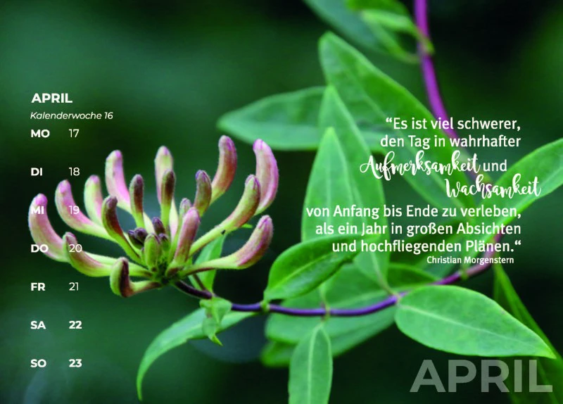 Natur für Herz und Seele