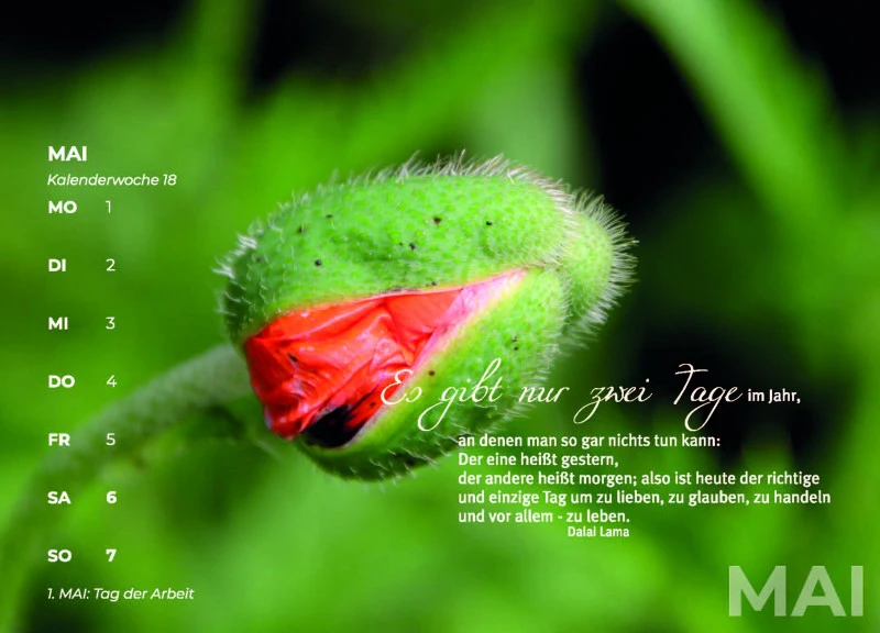 Natur für Herz und Seele