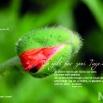 Natur für Herz und Seele