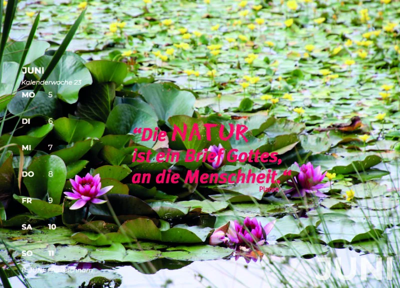 Natur für Herz und Seele