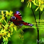 Natur für Herz und Seele