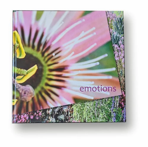 emotions - Blumen mit Zitaten