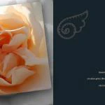 emotions - Blumen mit Zitaten