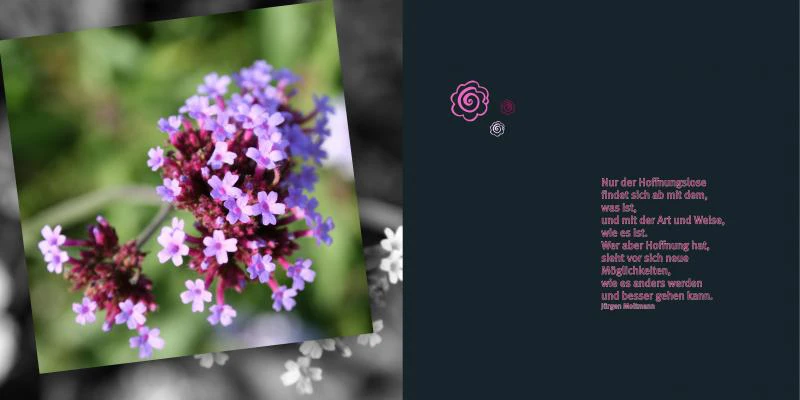 emotions - Blumen mit Zitaten