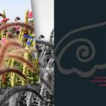 emotions - Blumen mit Zitaten