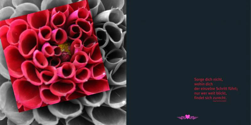 emotions - Blumen mit Zitaten
