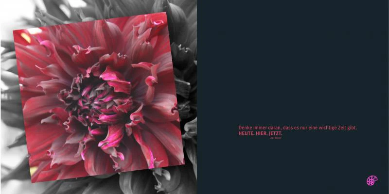 emotions - Blumen mit Zitaten