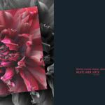 emotions - Blumen mit Zitaten
