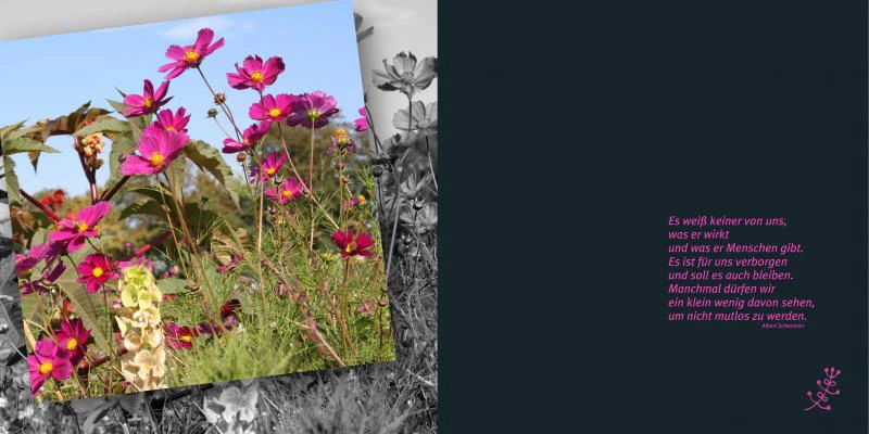 emotions - Blumen mit Zitaten