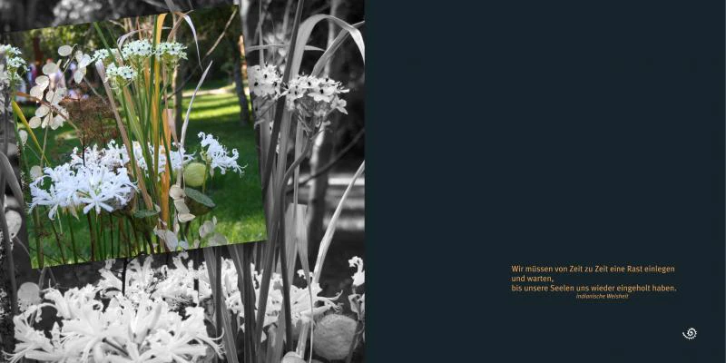 emotions - Blumen mit Zitaten