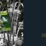 emotions - Blumen mit Zitaten