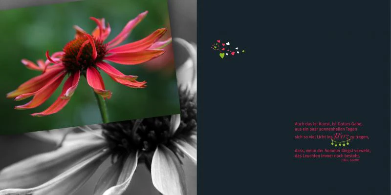emotions - Blumen mit Zitaten