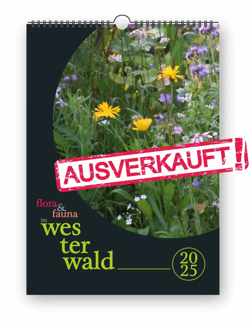 flora & fauna im westerwald 2025